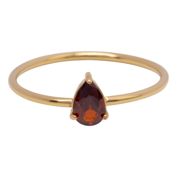 Charmins ring R1746 goud