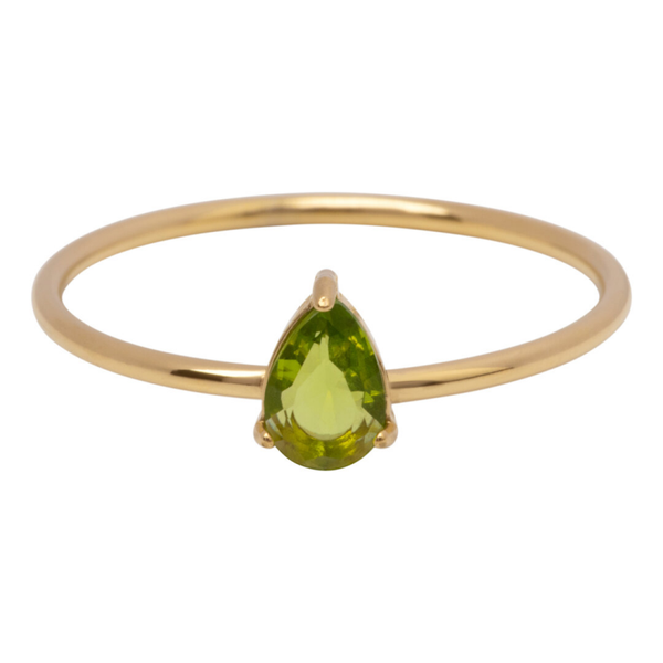 Charmins ring R1750 goud