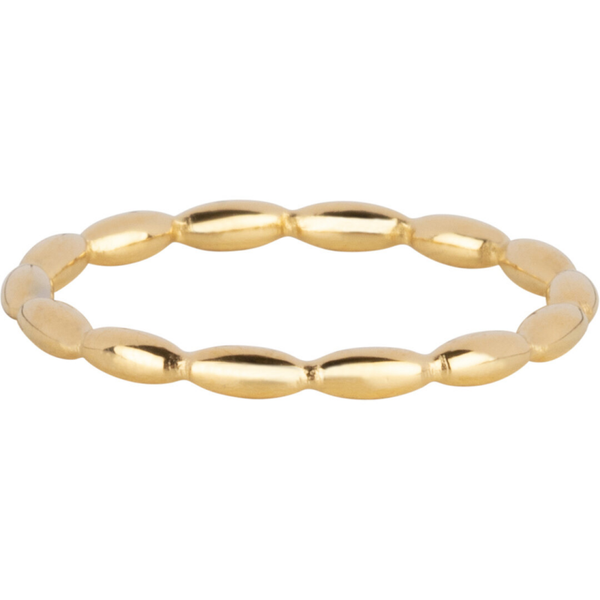 Charmins ring R1634 goud