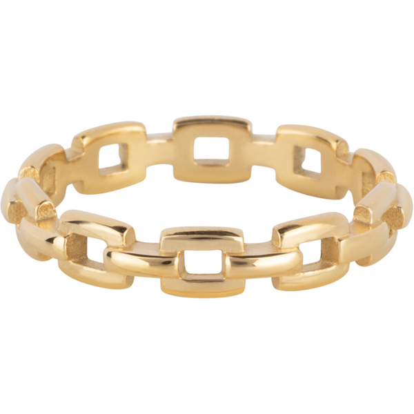 Charmins ring R1542 goud