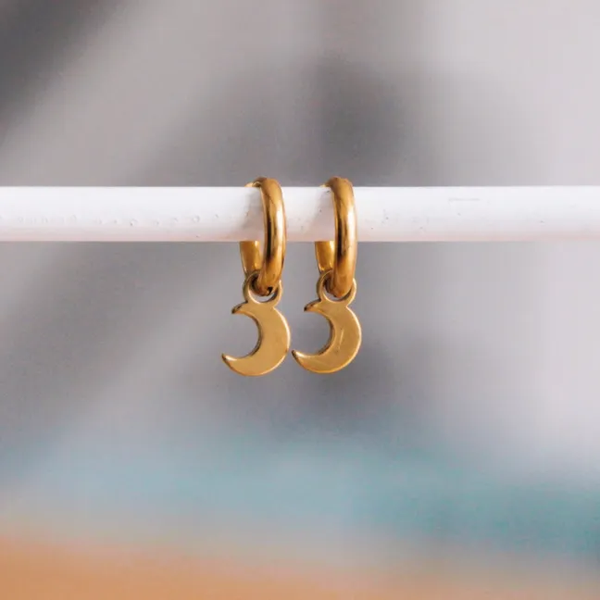 RVS creolen met mini maan - goud
