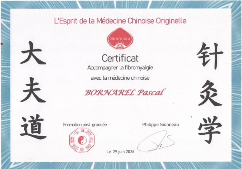 fibromyalgie - fleurance - medecine chinoise - gers