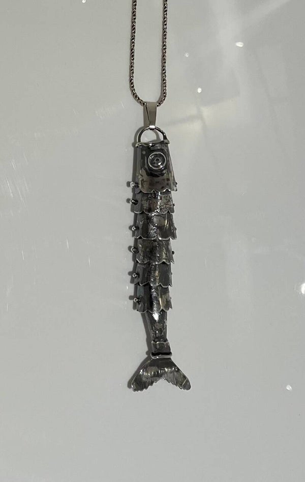 Zilveren vis hanger met collier