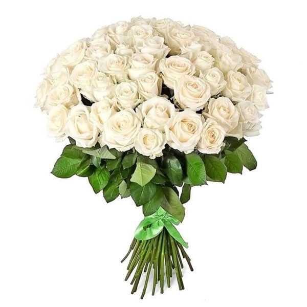 Witte roos