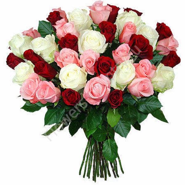 Roze MIX