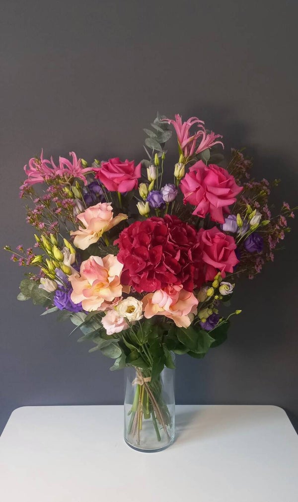 Rode Hortensia