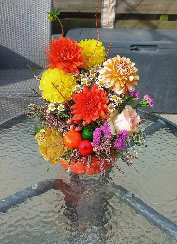 Dahlia mix