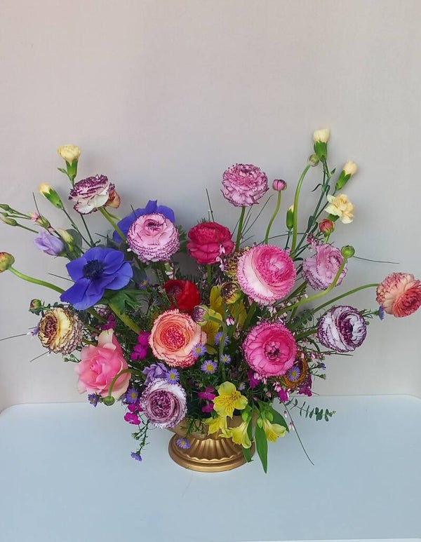 Lente bloem Ranunkul