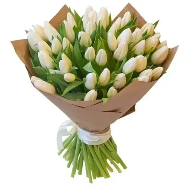 Witte tulpen