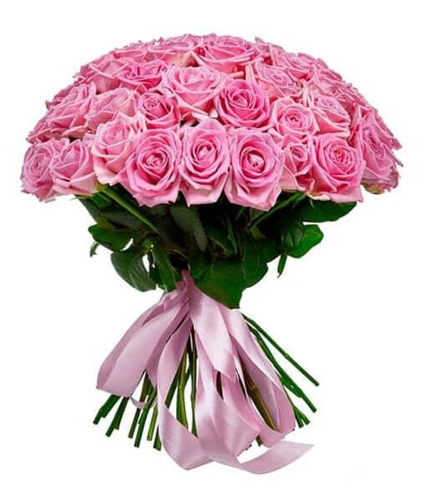 Roze roos