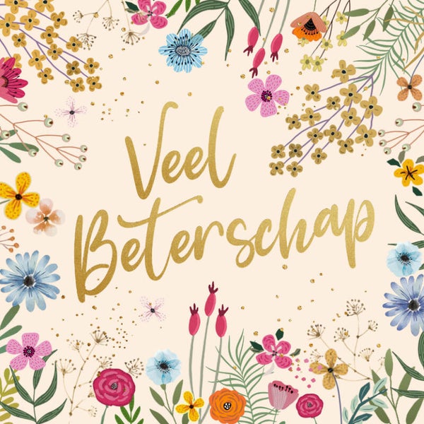 Kaartje Beterschap