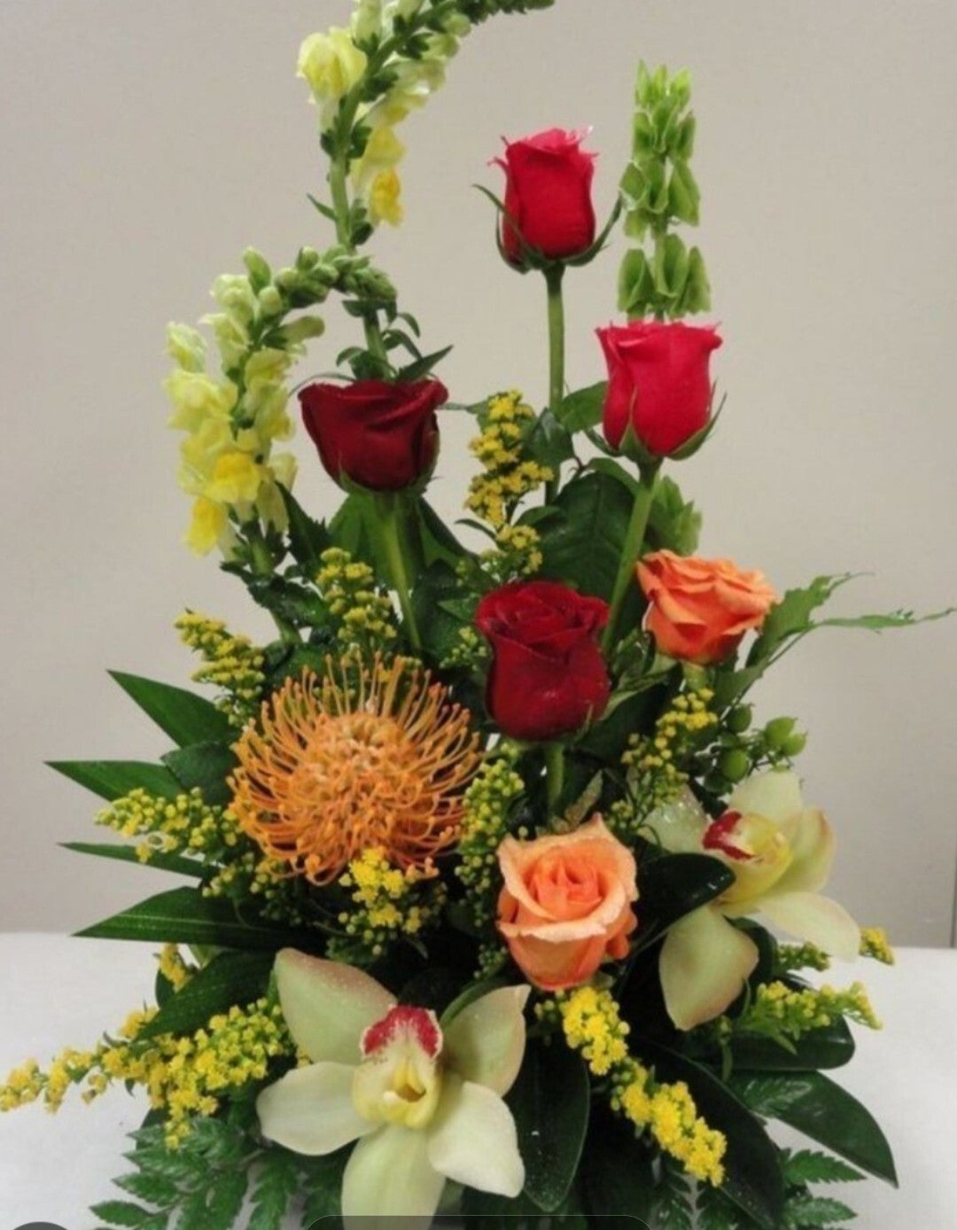 Protea