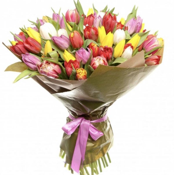 MIX tulpen