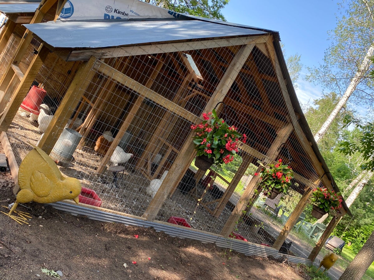 Housing Coops/Brooders Hidden Acres MC Poultry