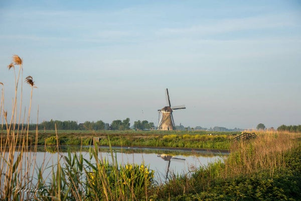 Vergrotingen 20 x30 cm