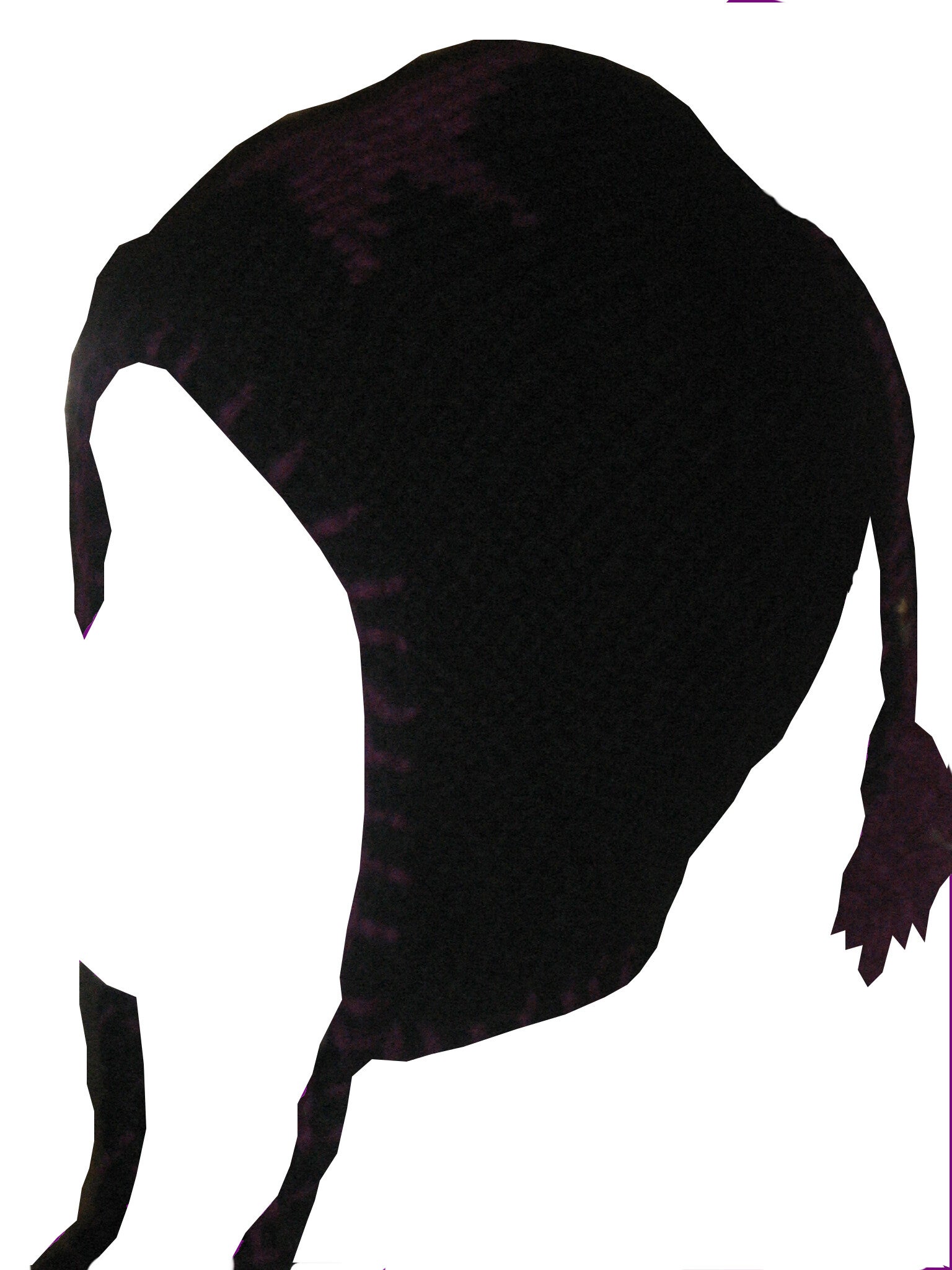 [24016]  Zwarte muts met paarse ster