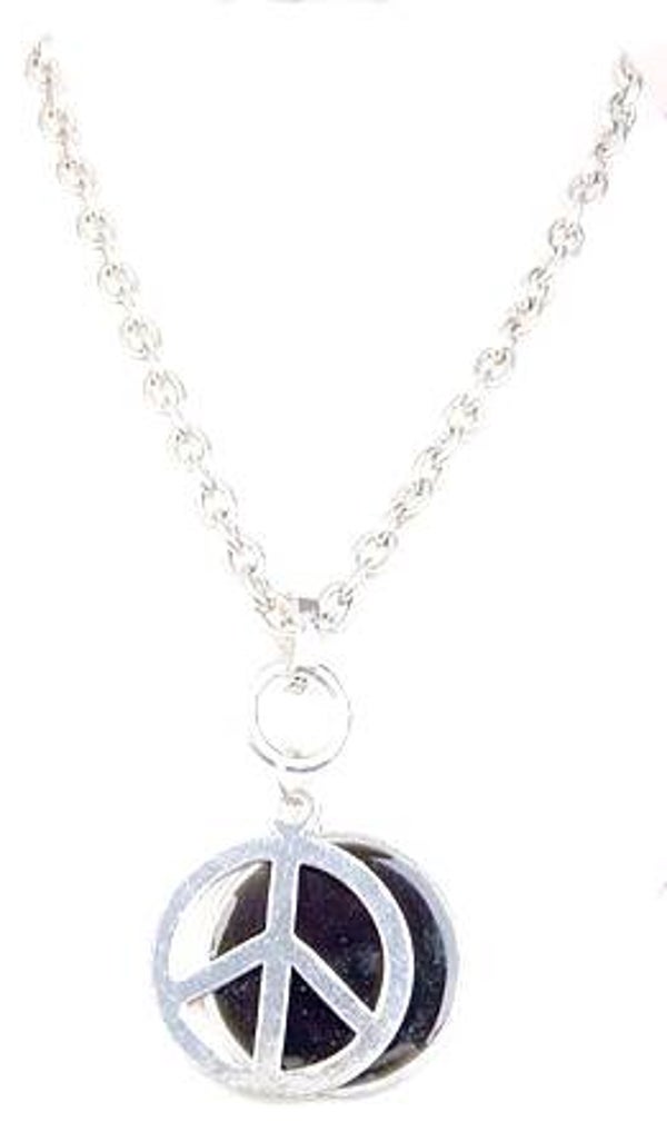 [8007]  Lange zilverkleurige ketting