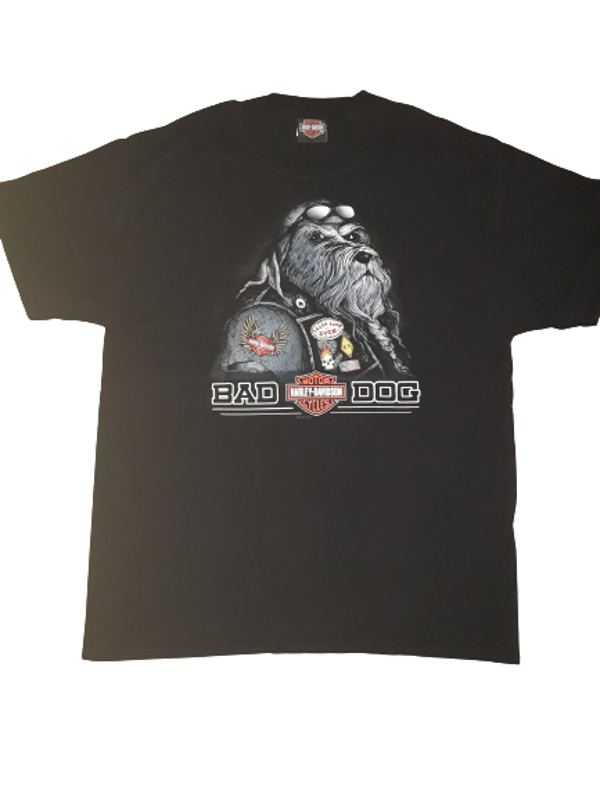 [29003]  T-shirt Harley Davidson