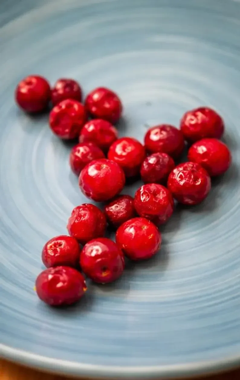 Organic Freeze-Dried Cranberries | No Sugar Added | Crunchy Healthy Snack | Vegan Gluten Free