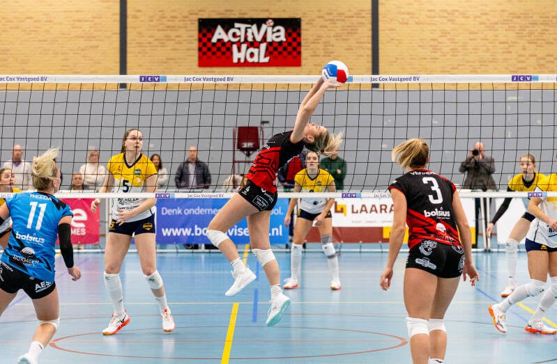 somas-activiad1-123-standard.jpg