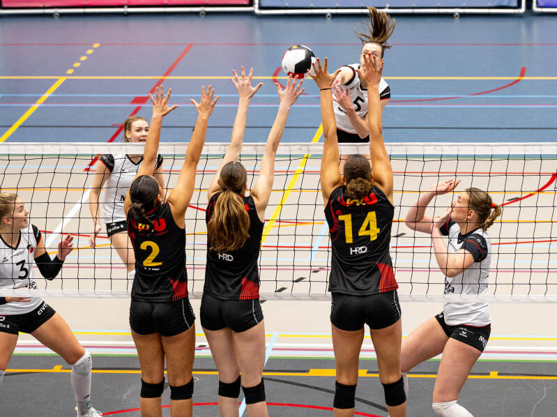 utrecht-apollo-84-standard.jpg