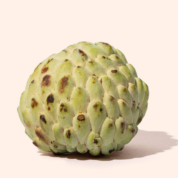 Atemoya