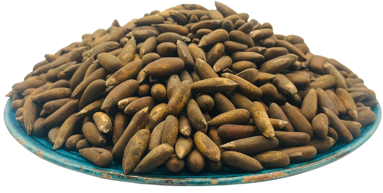 Khost Pine Nuts