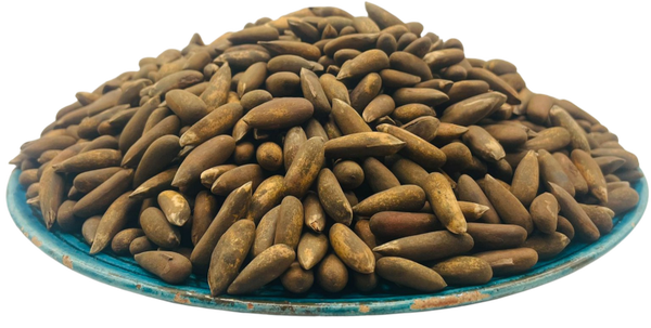 Khost Pine Nuts