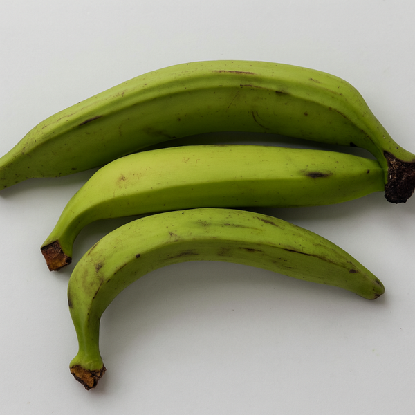 Fresh green plantains