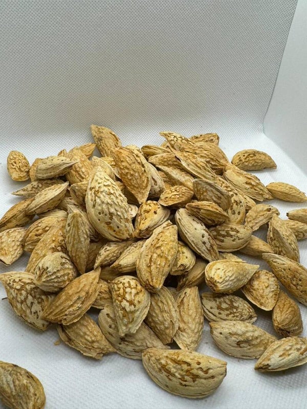 Khosti Sof in Shell Almonds