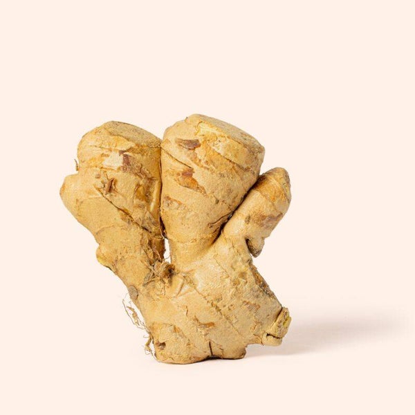 Ginger