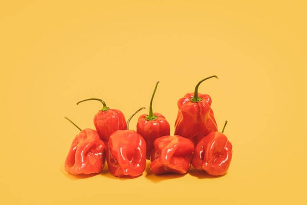 Red Habanero African Chillies