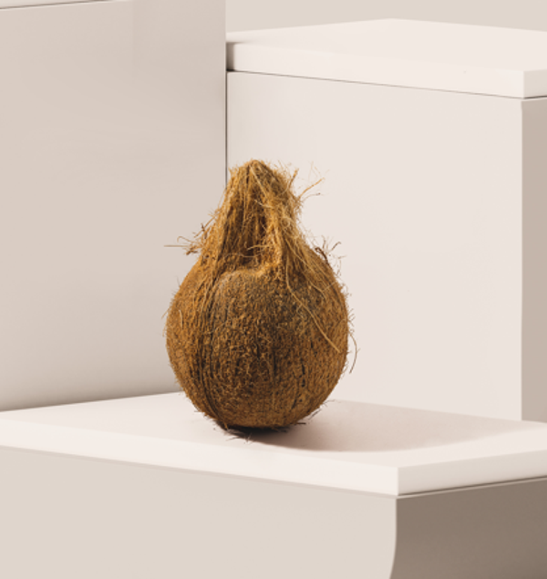 Temple Coconut