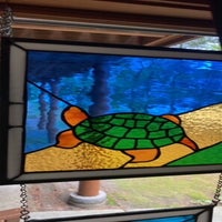 turtlejpg.jpg