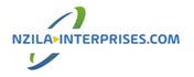 Nzila-Interprises.Com