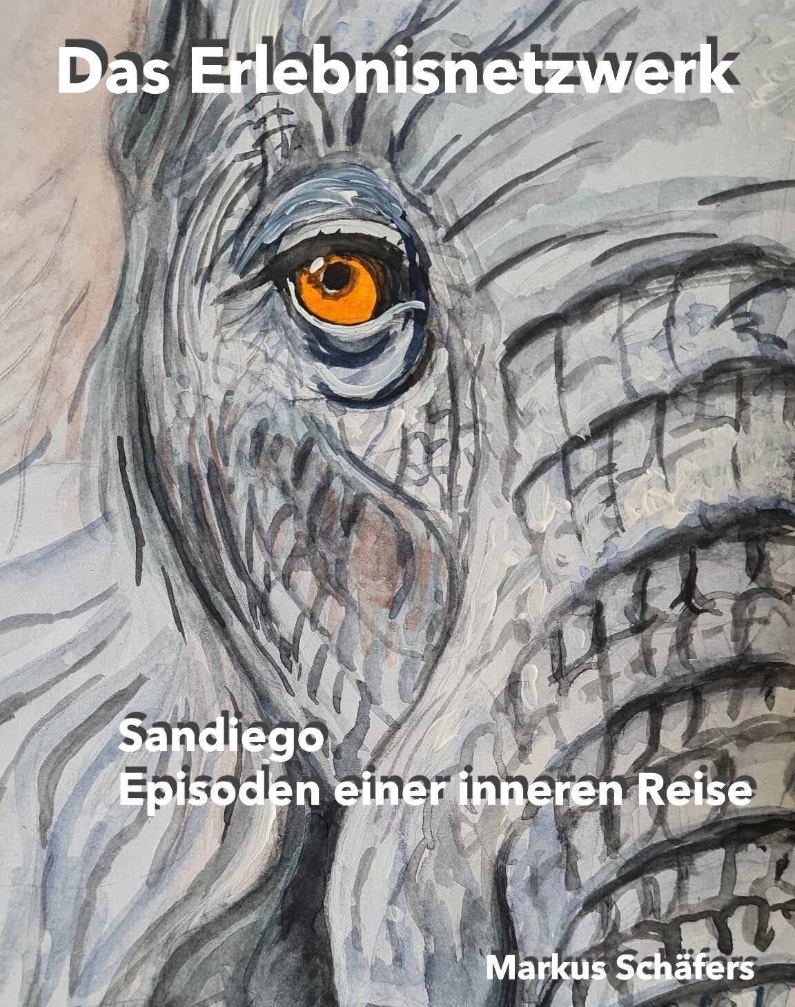 Das Erlebnisnetzwerk, Sandiego, Episoden einer inneren Reise
