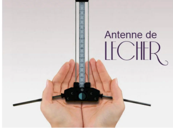 Bilan de vitalité