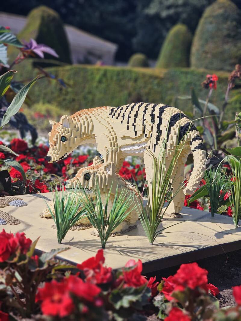 Brick-built Dire Wolf model featured in the Iconic Bricks: Extinction exhibition at Sewerby Hall.