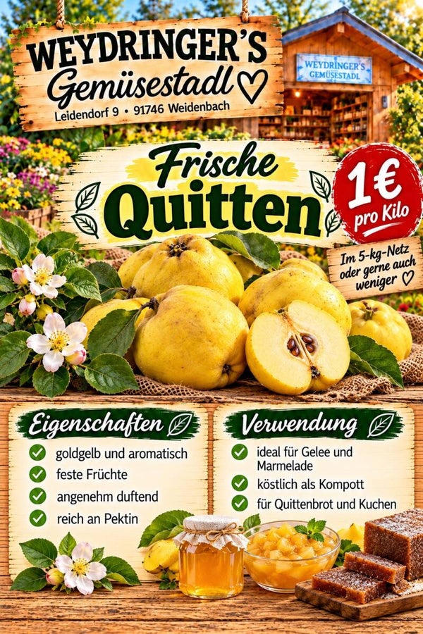 Quitten