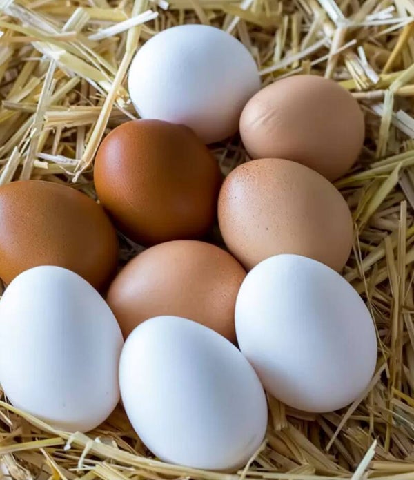 Eier braun/weiß gemischt