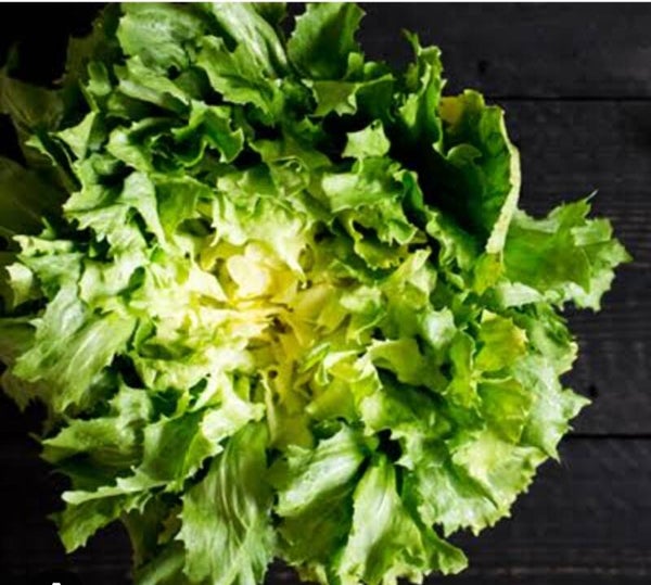 Endiviensalat