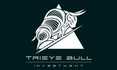 TriEye Bull Investment