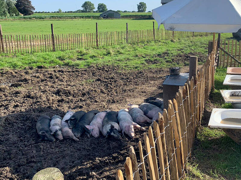 klik voor vergroting