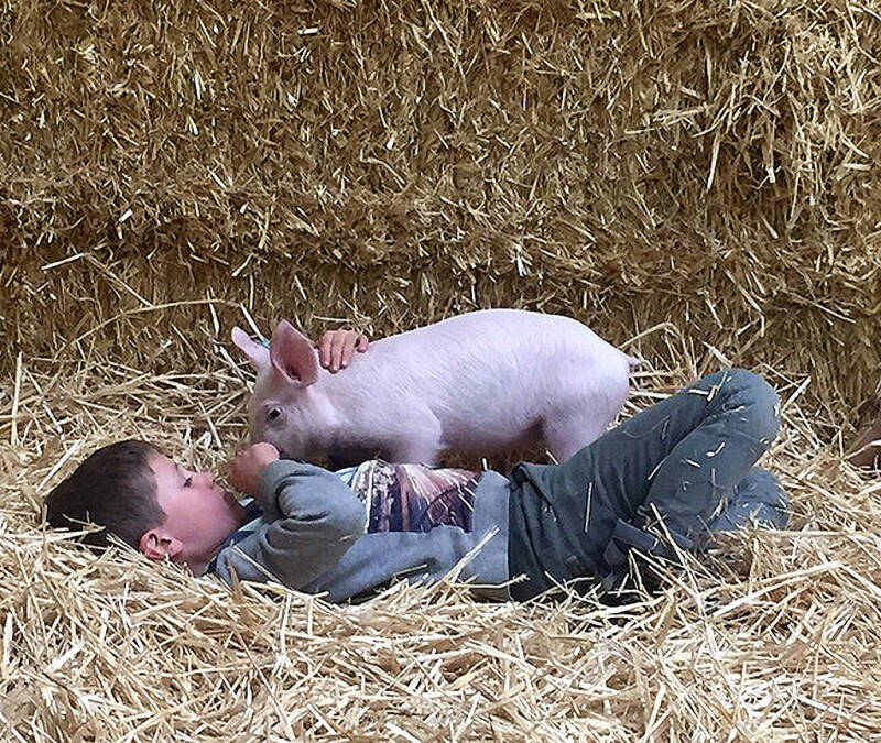 klik voor vergroting