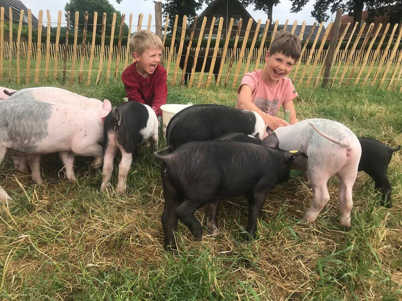 klik voor vergroting