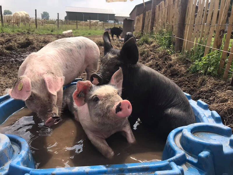 klik voor vergroting