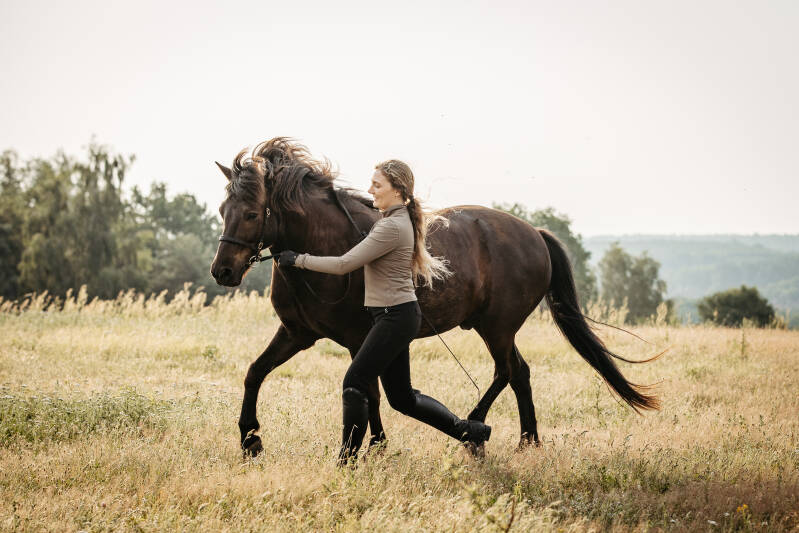 Feine Zusammenarbeit zwischen Reiter und Pferd – Impressionen Naturness Equine