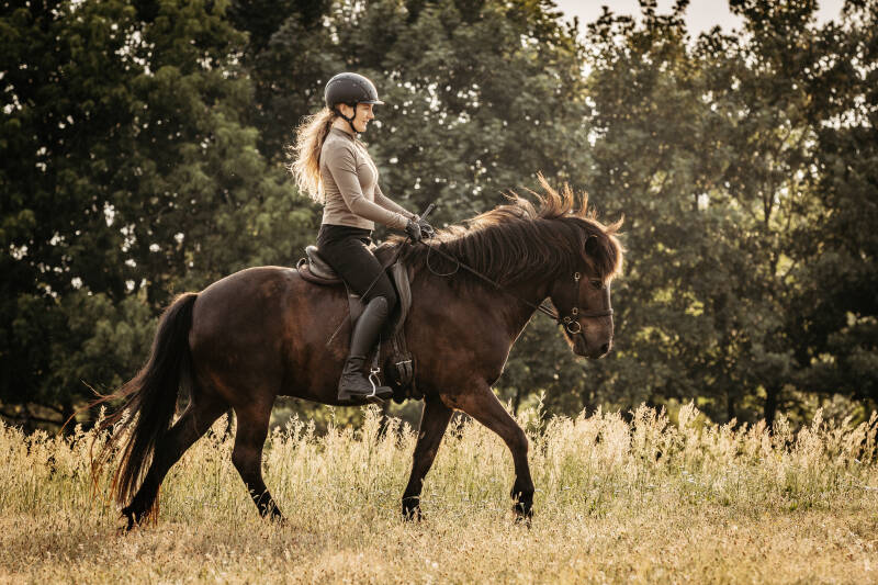 Reitunterricht und klassische Reitkunst – Impressionen Naturness Equine Kassel
