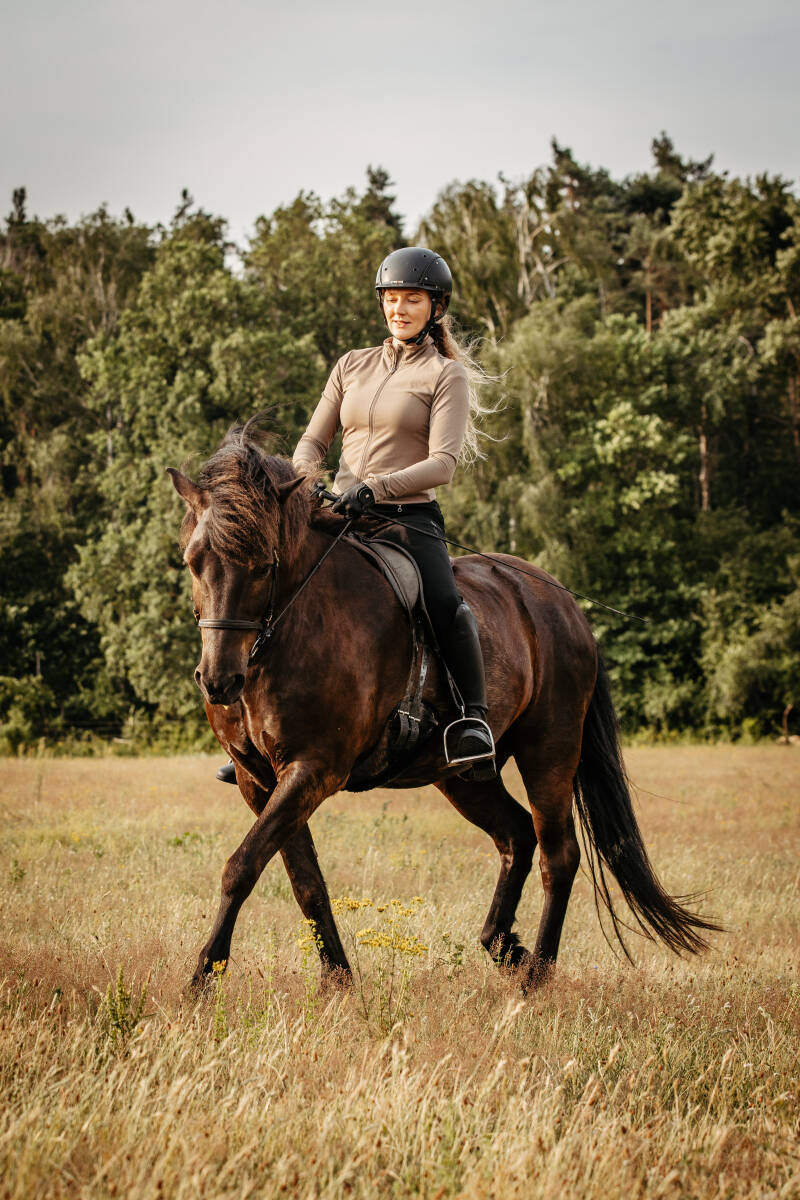 Beritt und individuelle Pferdeausbildung – Naturness Equine Kassel