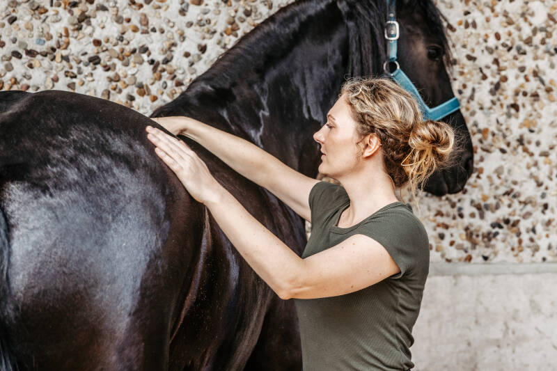 Osteopathische Behandlung und Physiotherapie am Pferd – Naturness Equine